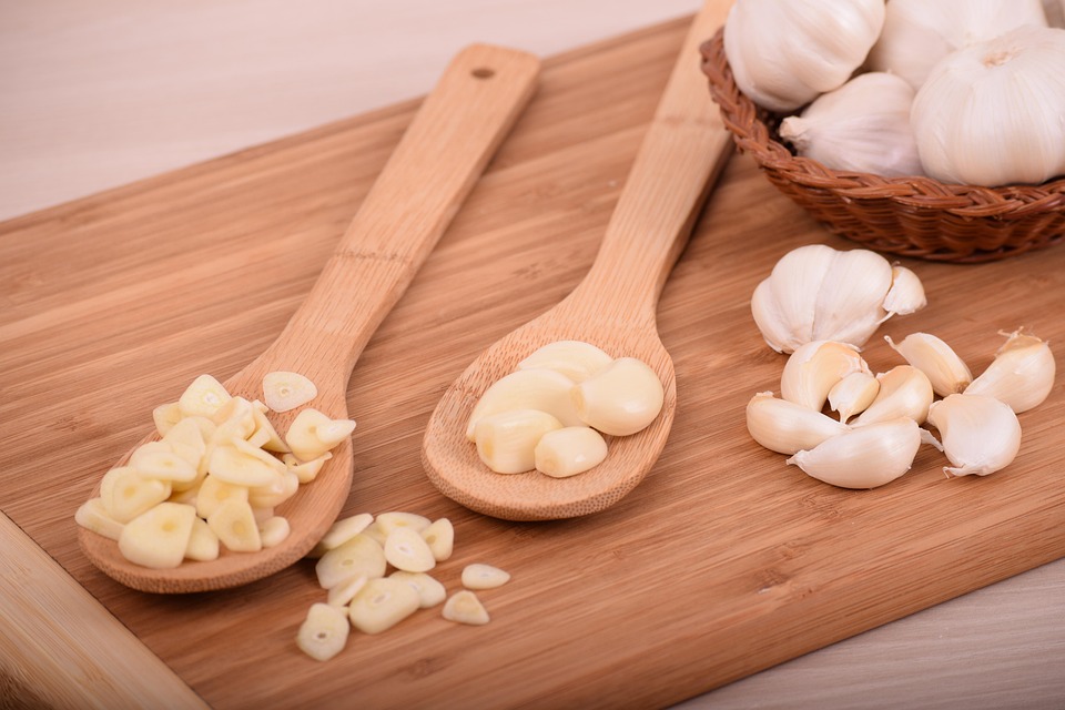 dog nutrition for skin health