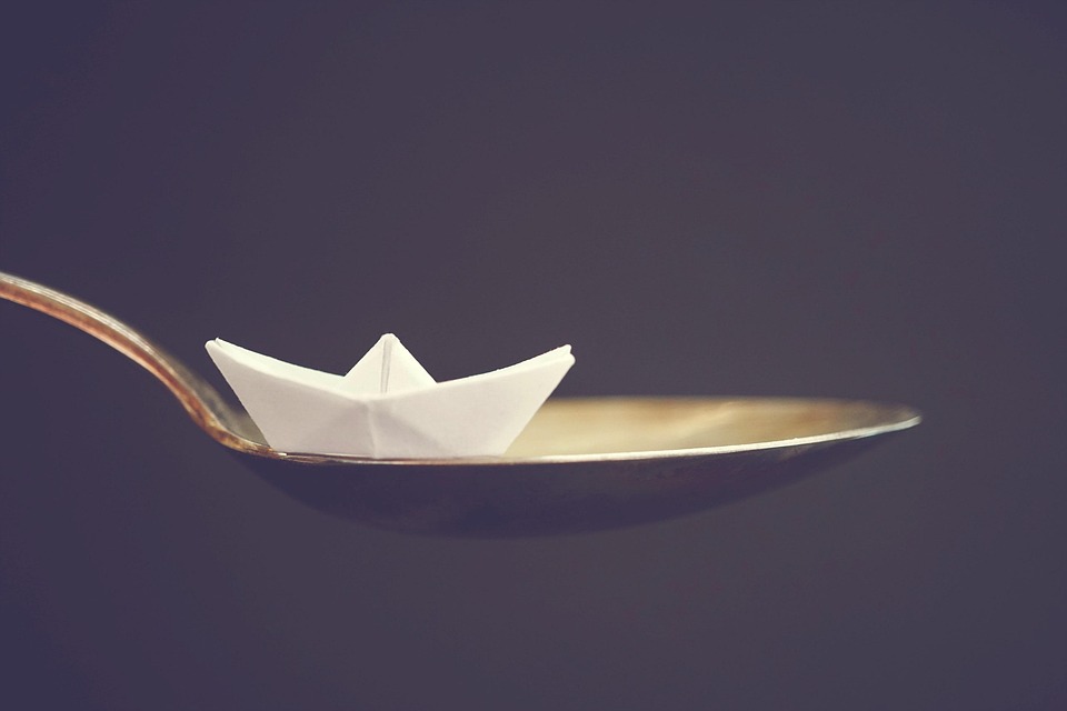 dog food portion sizes
