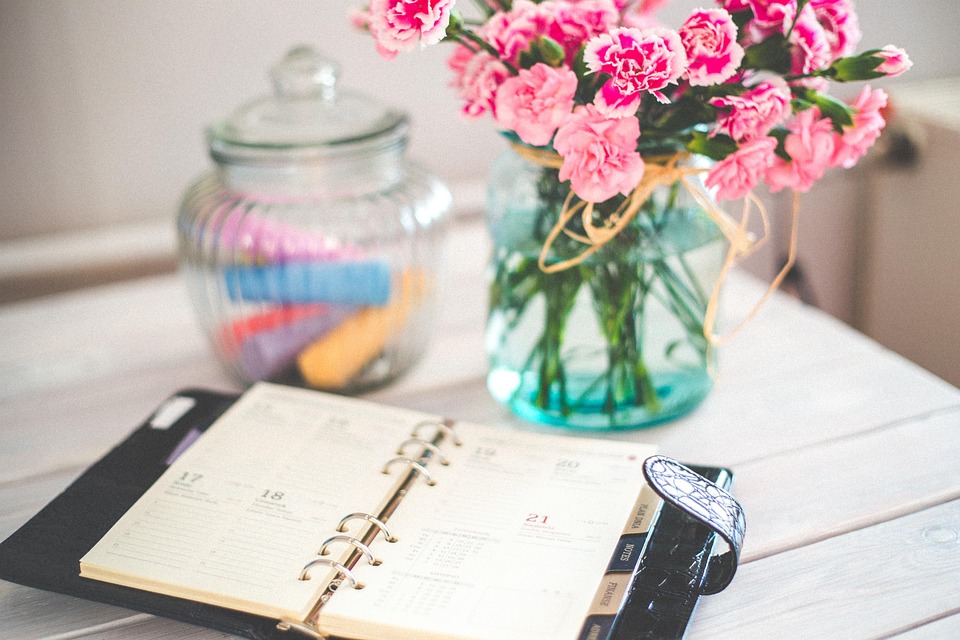dog routine planner