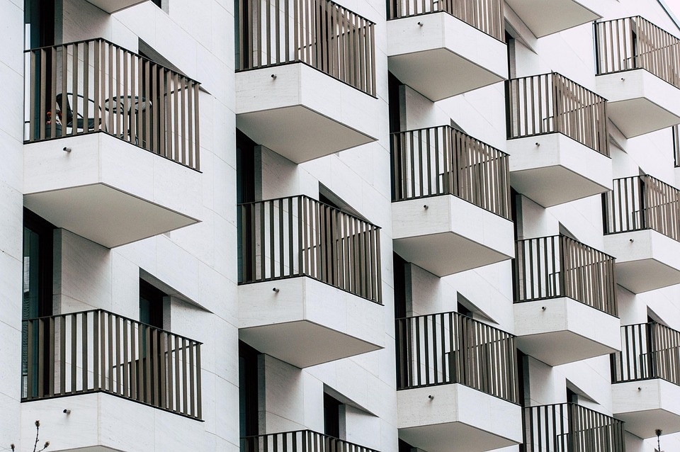 dog care for apartments