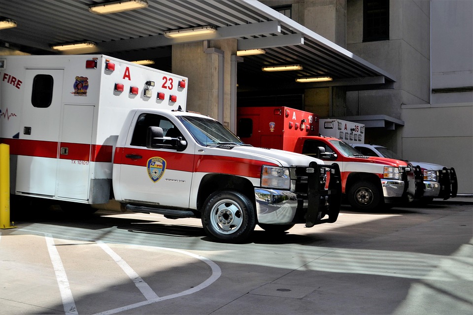 dog emergency care